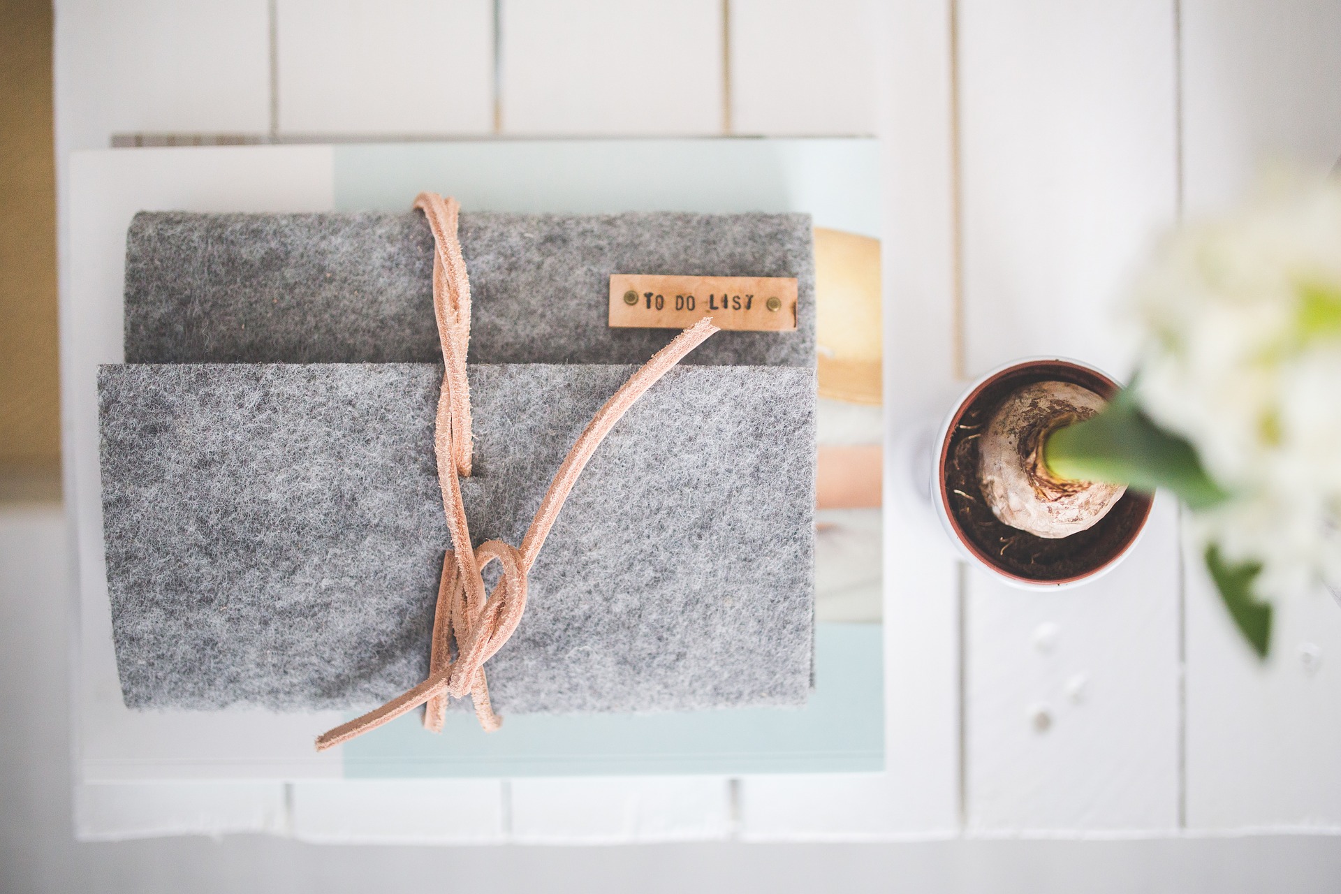 organization tips