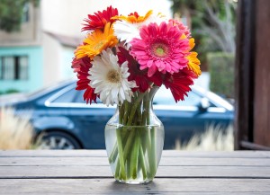 office flowers